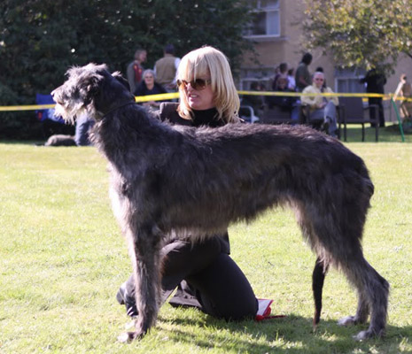 PINGLEHOILO RUBY AT KILBOURNE